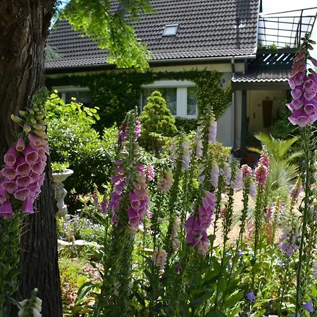 Ferienwohnung Jentsch - #25932 غورليتز